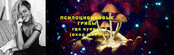 сатива Ладушкин