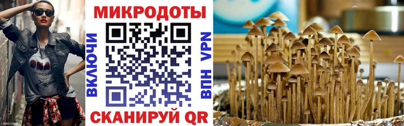 omg tor  Краснознаменск  Галлюциногенные грибы GOLDEN TEACHER 