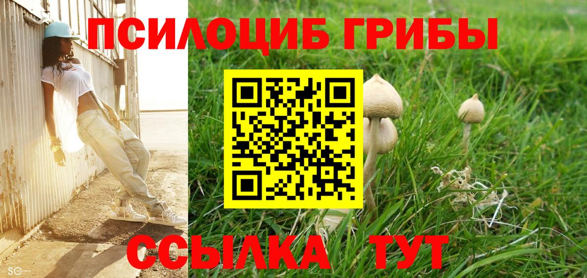 Краснознаменск  где можно купить   Вход с VPN  Псилоцибиновые грибы мухоморы  Галлюциногенные грибы мухоморы 