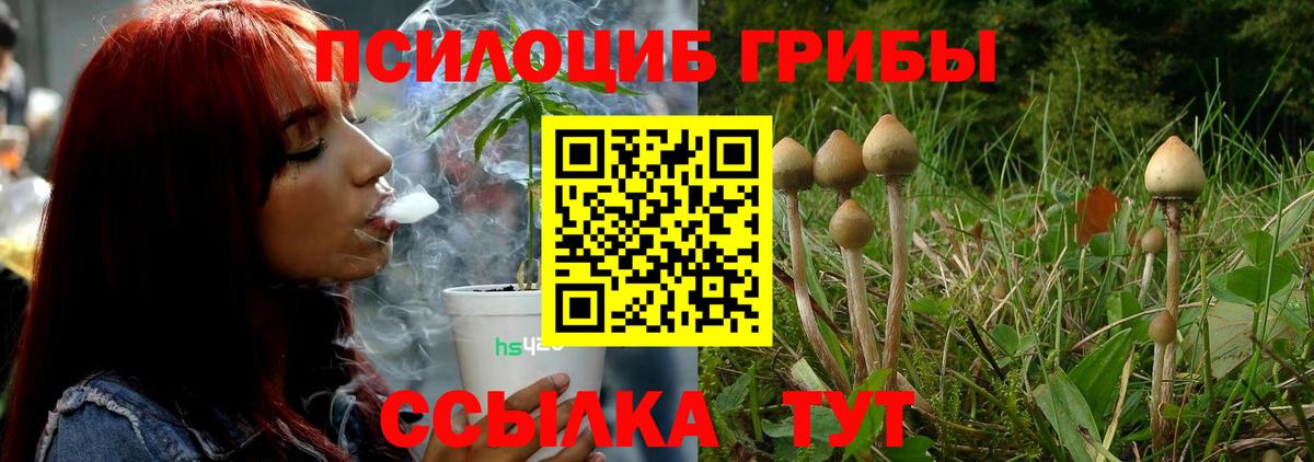 Галлюциногенные грибы GOLDEN TEACHER Краснознаменск
