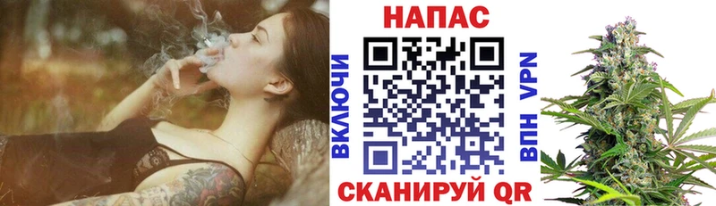 Бошки марихуана индика  как найти наркотики  Краснознаменск 